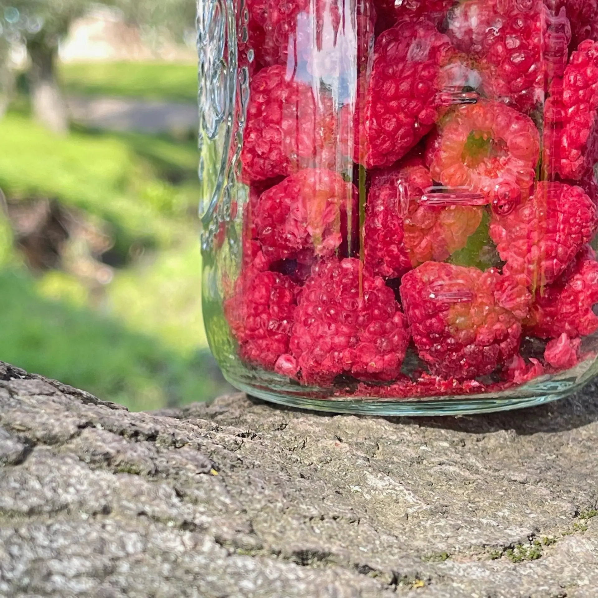 Freeze Dried Raspberries