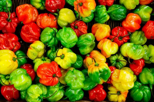 Beastly Freeze Dried Bell Peppers