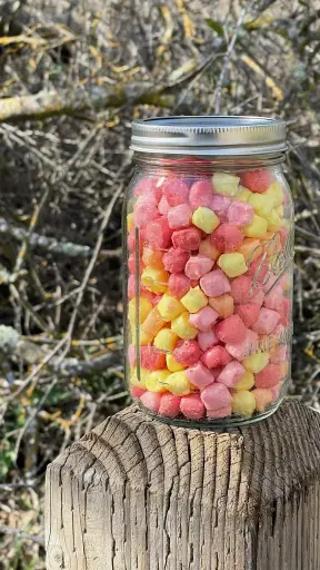 Beastly Freeze Dried Fruity Juice Bites